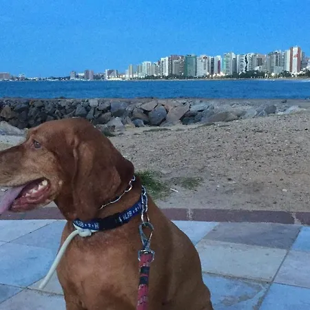 New Life